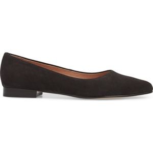 Caslon Luna pointed toe flat